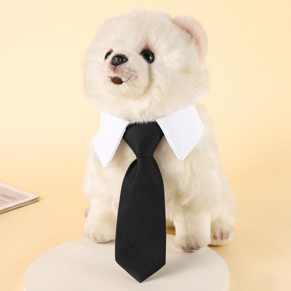 13–27 cm formelle Hunde-Smokin – Suit Supply Wedding Party Bewertung und Preis