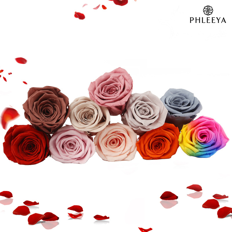6 Stück ewige Rosenblütenköpfe – Wedding Supply In Bulk Bewertung und Preis