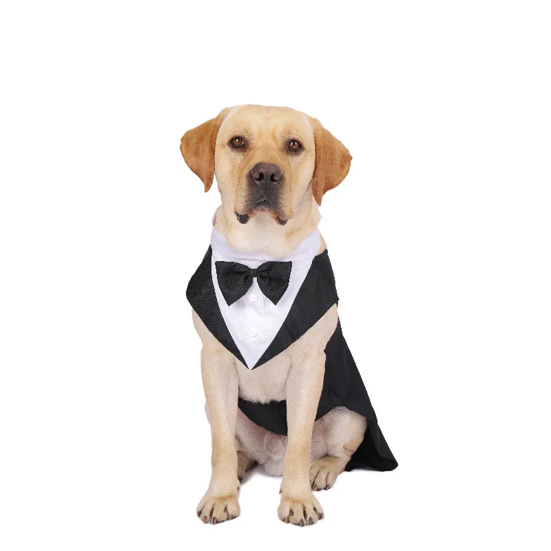 Haustier-Hundekleidung, modisc – Suit Supply Wedding Party Bewertung und Preis