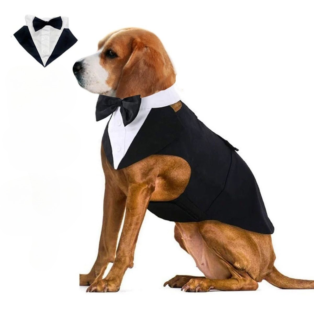Hundekleidung: Modischer Party – Suit Supply Wedding Party Bewertung und Preis